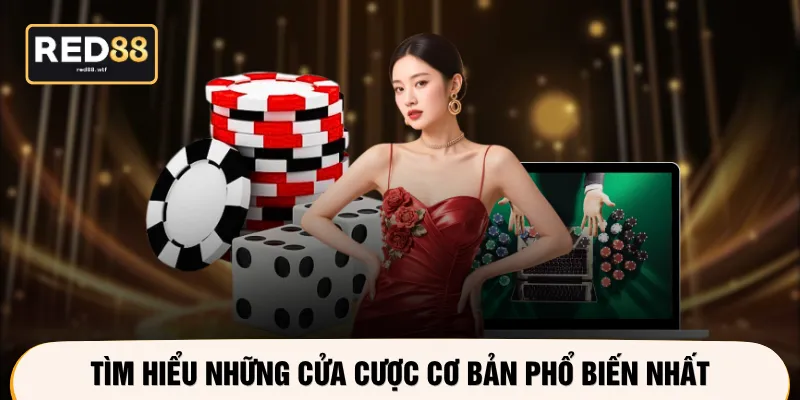 Tìm hiểu những cửa cược cơ bản phổ biến nhất
