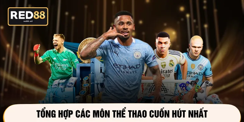 Tổng hợp các môn thể thao cuốn hút nhất